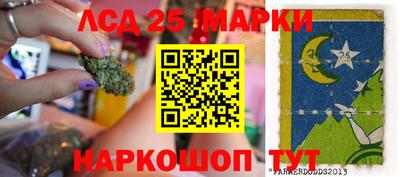 Альфа ПВП Будённовск