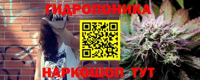 Альфа ПВП Будённовск