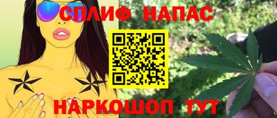 Альфа ПВП Будённовск