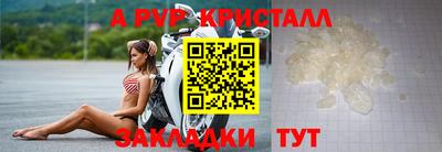 Альфа ПВП Будённовск
