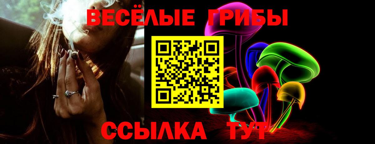 Подольск  Галлюциногенные грибы прущие грибы  Галлюциногенные грибы мицелий  Вход с VPN 